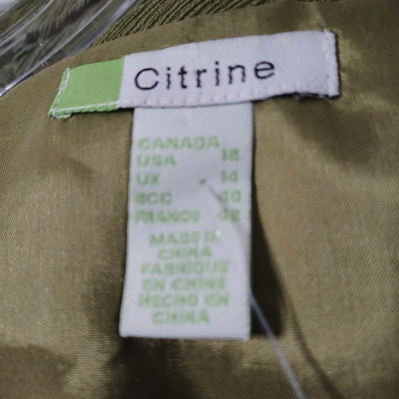 #66 Citrine Green Silk Drop Waist Empire Waist Ruched Bodice Dress Women's 12 - Picture 11 of 11